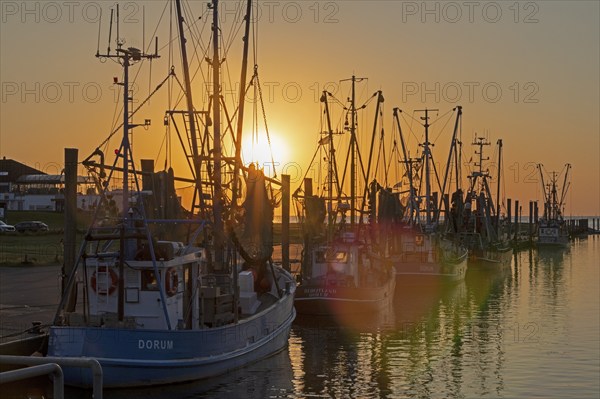 Sunset, shrimp cutter in the harbour, Dorum-Neufeld, Wurster Land, Lower Saxony, Germany, Europe