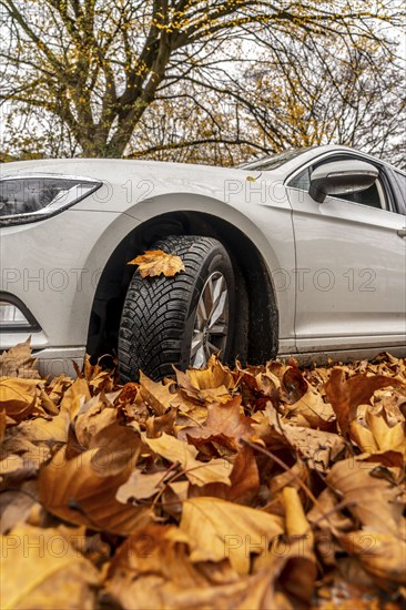 Driving on autumn leaves, slippery surfaces, leaves, grip from winter tyres