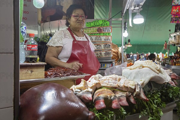 Oaxaca, Mexico, A vendor sells liver, bull's feet, and other meats at the Benito Juarez Market. Opened in 1894, it is one of the largest and oldest markets in Oaxaca. Its many dozen stalls sell food of every kind, clothing, souvenirs, and more, Central America