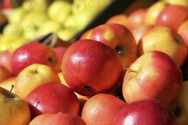 Close-up of fresh apples in a shop