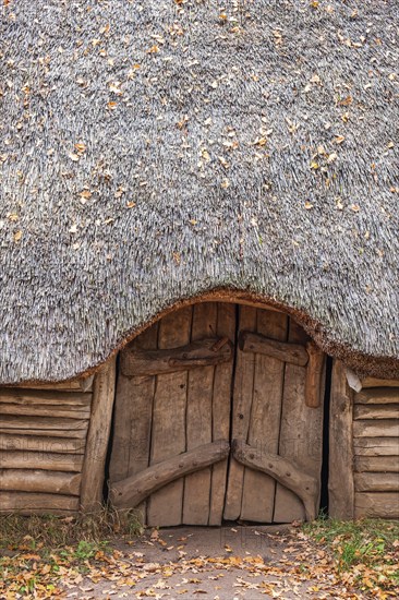 Wooden door to a longhouse built of tree logs and a roof of reeds