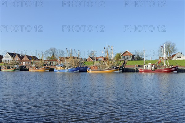 Crab cutter in the harbour of Greetsiel, blue sky, North Sea, Lower Saxony, Germany, Europe