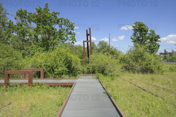 Stegweg, Schöneberger Südgelände Nature Park, Prellerweg, Schöneberg, Berlin, Germany, Europe