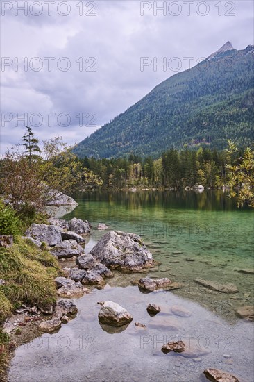 Hintersee in autumn colours, Ramsau, Berchtesgaden National Park, Berchtesgadener Land district, Upper Bavaria, Bavaria, Germany, Europe