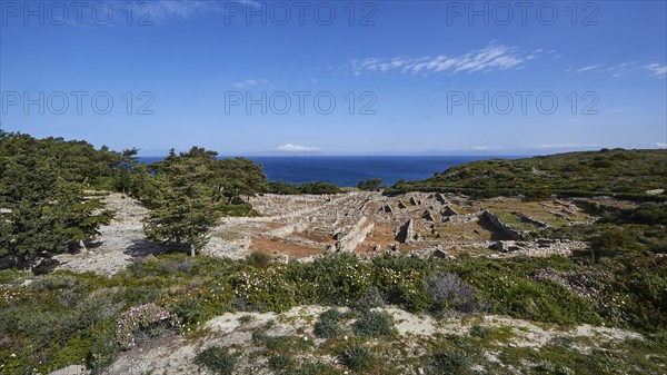 Expansive landscape of ruins overlooking the sea, surrounded by vegetation under a clear blue sky, Kamiros, Archaeological site, Ancient city, Foundation of Doric Greeks, Rhodes, Dodecanese, Greek Islands, Greece, Europe