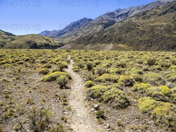 Hiking trail 'Aviles loop', Park Patagonia, east of Cochrane on road to argentinian border at Paso Roballos, Patagonia, Chile, South America