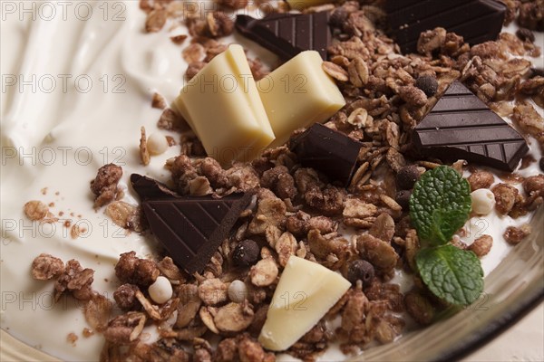 Yogurt with chocolate muesli, breakfast, close-up, fork on top, no people