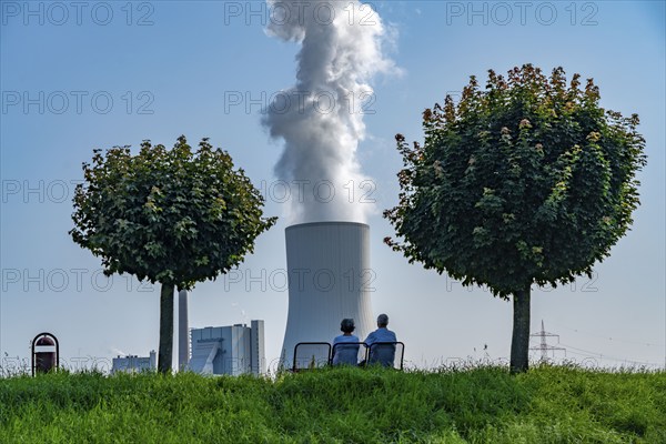 Rhine dyke near Orsory, ball trees, park bench, Walsum coal-fired power station, cooling tower, Rheinberg-Orsoy, North Rhine-Westphalia, Germany, Europe