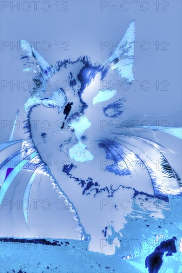 Michas Cats, art, mixed media, artist Michael Preyer, abstract cat portrait, portrait, cat head, painting, graphic, portrait of a cat, ears, whiskers, colour blocking, blue, soft, alienation, Germany, Europe