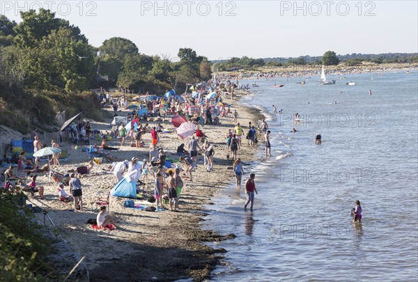 Late afternoon crowded summer sandy beach, Studland Bay, Swanage, Dorset, England, UK