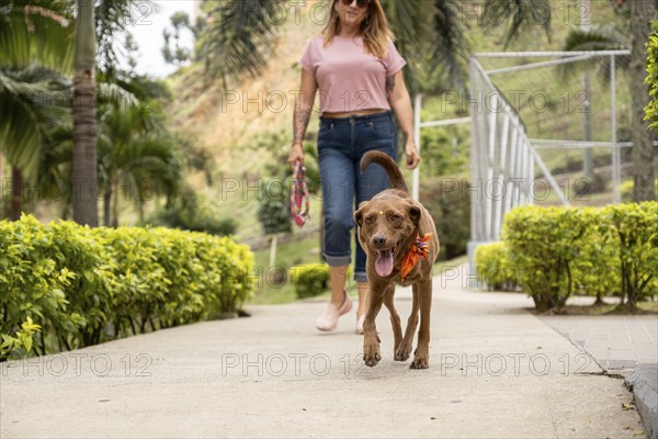 A woman wearing sunglasses smiles as she watches her unleashed dog walking ahead of her, holding the leash in her hand. Selective focus