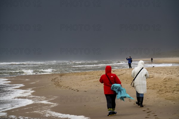 Walkers on the beach, dark storm clouds, choppy sea, autumn on the North Sea in North Holland, between the towns of Egmond aan Zee and Bergen aan Zee, Netherlands