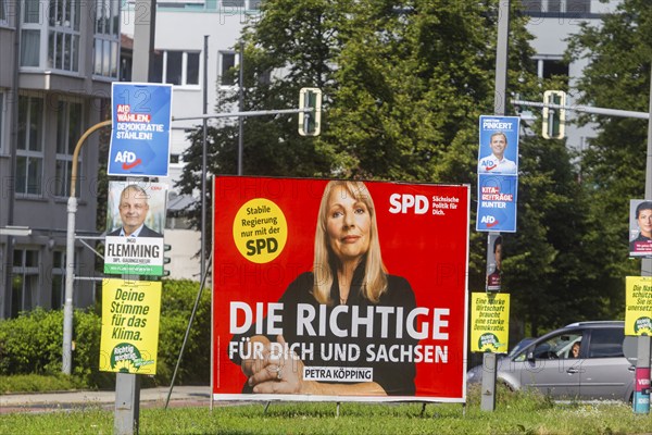 The hot phase of the state election campaign in Saxony can be seen in the amount of different messages on trees and lanterns, State election campaign in Saxony, Dresden, Saxony, Germany, Europe