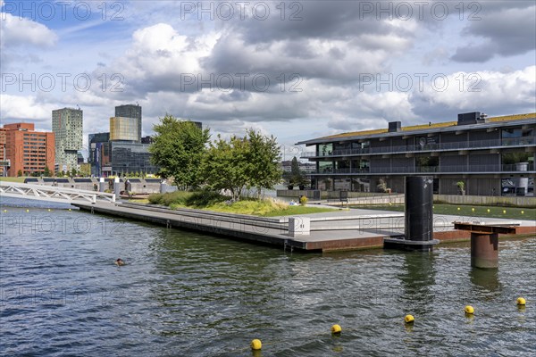 The Floating Office Rotterdam, is considered the world's largest floating office building, first part of the floating park, in the Rijnhaven, 28ha harbour basin, has now been filled in by almost a third to create space for up to 3000 flats, there will be an artificial beach, a floating park connected by jetties, restaurants and shops, cultural facilities, a major urban development project in the old harbour, the Rijnhaven is adjacent to the popular districts of Kop van Zuid and Katendrecht, Rotterdam, Netherlands