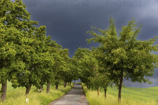 Heavy rain showers and thunderstorms over Possendorf in the Eastern Ore Mountains, Possendorf, Saxony, Germany, Europe