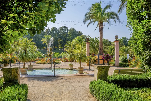 Palm garden in the historic spa gardens, the largest outdoor palm garden north of the Alps, Bad Pyrmont, Emmertal, Weserbergland, Oranierroute, Lower Saxony, Germany, Europe