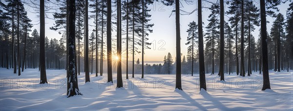 Peaceful snowy forest clearing at dawn with snow softly blanketing the ground and frost-covered pine trees, AI generated