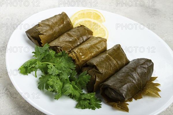 Dolma, minced meat with rice, in grape leaves, rolls with minced meat, on a white plate, top view, no people, dolma, grape leaves with filling