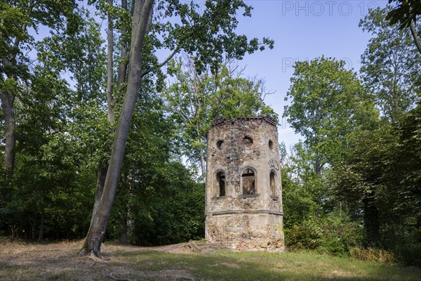 The Blechburg is a ruined former lookout tower with a viewing bastion at the northern end of the Jägerberg on the Wahnsdorfer Flur in the town of Radebeul in Saxony. The ruin stands in the middle of a forest that has grown up in recent decades on the edge of the slope at around 235 metres, Radebeul Weinhänge, Radebeul, Saxony, Germany, Europe