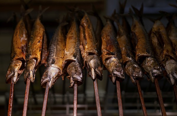 Sales stand, smoked fish, mackerel, smoked, Cannstatter Wasen, folk festival, Bad Cannstatt, Stuttgart, Baden-Württemberg, Germany, Europe