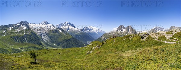 Mountain panorama with glaciated peaks, Aiguille du Midi and Mont Blanc, Aiguille de Mesure and Aiguille de Chamois, hike to Aiguillette des Posettes, Chamonix, Haute-Savoie, France, Europe