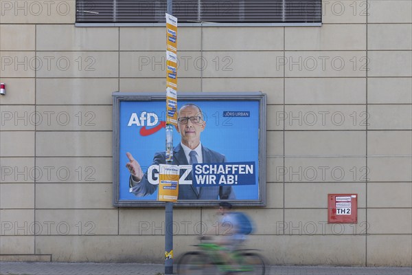 The hot phase of the state election campaign in Saxony can be seen in the amount of different messages on trees and lanterns, State election campaign in Saxony, Dresden, Saxony, Germany, Europe