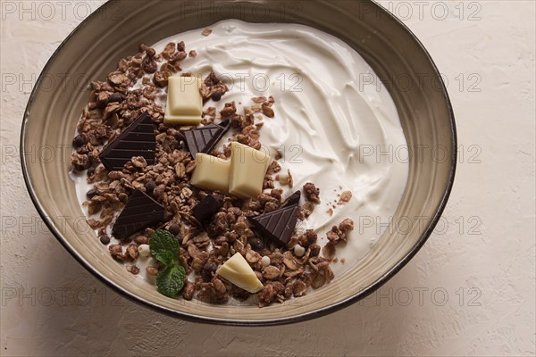 Yogurt with chocolate muesli, breakfast, close-up, fork on top, no people