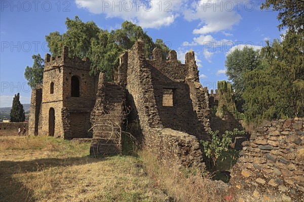 Amhara region, in the Gemp palace complex in Gondar, Gonder, UNESCO, world, heritage, cultural heritage, Ethiopia, Africa