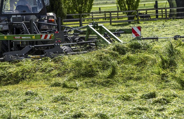 Tractor, mowing grass, turning the grass, near Issum, Lower Rhine, North Rhine-Westphalia, Germany, Europe