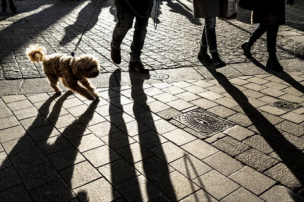 Pedestrians in a pedestrian zone, winter, long shadows, Dortmund, North Rhine-Westphalia, Germany, Europe