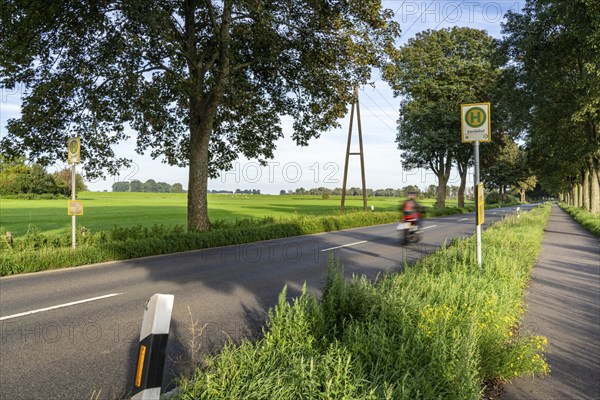 Public transport stop on land, Lower Rhine, Elendshof near Kalkar-Grieth, Rheinuferstraße, 2 service times per school day, line 48, also stop for the Kalkar 2 shared taxi, on call, North Rhine-Westphalia, Germany, Europe