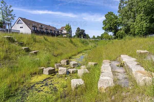 The Katernberger Bach, for over 40 years the stream was piped, 1.2 km long, underground, used as a sewage water, as part of the Emscher conversion, the stream was opened, separated from the waste water and renaturalised, as a green recreational area, Essen, North Rhine-Westphalia, Germany, Europe