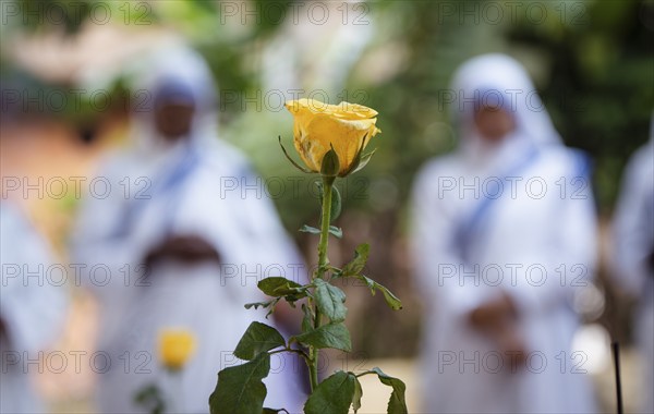 Nuns offer prayers on the grave during the All souls day observation, in Guwahati, India on 2 November 2024. All Souls' Day is a Christian holiday dedicated to honoring and praying for the souls of the departed