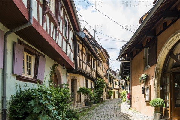 Medieval village and colourful half-timbered houses, Eguisheim, Plus beaux villages de France, Haut-Rhin, Alsace, Alsace, France, Europe