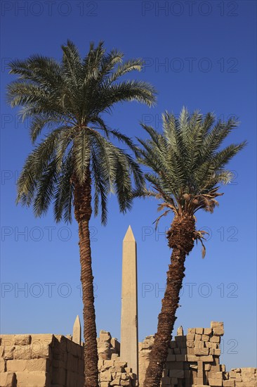 Luxor, Karnak Temple, obelisk in the temple complex in Karnak, Africa, Upper Egypt, UNESCO World Heritage Site