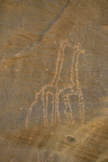 Rock engravings of two giraffes from the Neolithic period, Sabu, Nubia, Sudan, Africa