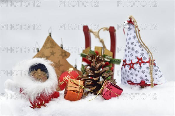 Christmas decoration, Inuit with sleigh and Christmas tree ball and pine cones and Christmas presents lying in the snow