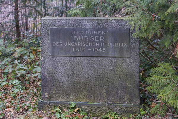 Dresden North Cemetery is the former military cemetery of the Saxon state capital and is now used as a public cemetery. The oldest of the four municipal cemeteries in Dresden has been owned by the city since 1961. Soviet military graves, Dresden, Saxony, Germany, Europe