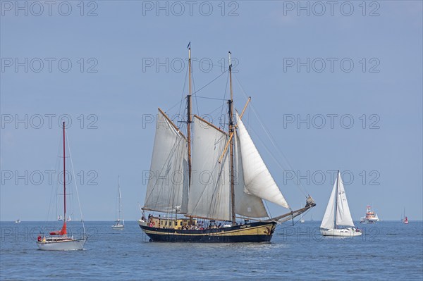 Sailing ship Zuiderzee, sailing boats, Kiel Week, Kiel Fjord, Kiel, Schleswig-Holstein, Germany, Europe