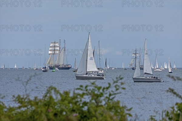 Sailing ships, sailing boats, Kiel Week, Kiel Fjord, Kiel, Schleswig-Holstein, Germany, Europe