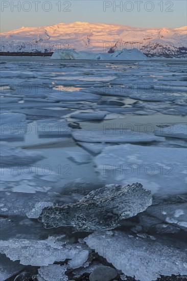 Ice floes in glacier lagoon, sunrise, morning mood, glacier, mountains, winter, Jökulsarlon, Vatnajökull, Iceland, Europe