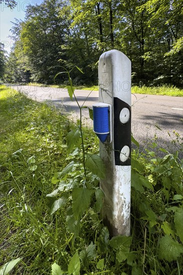 Wildlife warning reflector on roadside posts Reflective reflector to prevent wildlife accidents Reduction of wildlife accidents with reflective foil on country road through forest, Germany, Europe