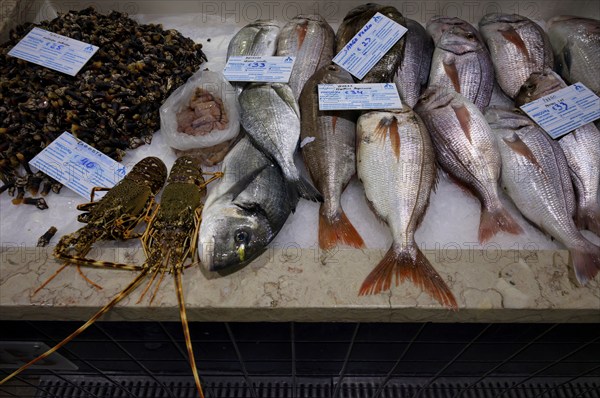 Fish counter, fresh fish, display of fresh fish, crayfish, mussels, bream, perch, market hall, Mercado Municipal de Lagos, Lagos, Algarve, Portugal, Europe