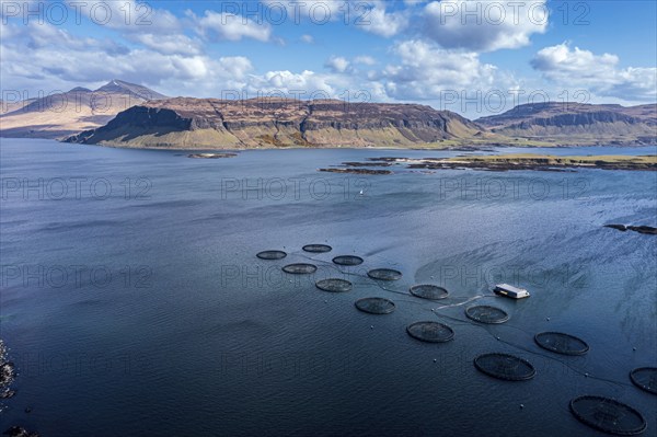 Floating cages of a salmon farm, sea between Isle of Ulva and Isle of Mull, Mt. Ben More (Mull) in the back, aerial view, Scotland, UK