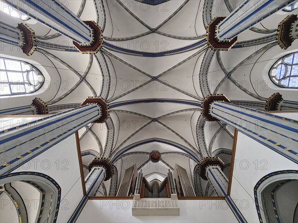 View of the ribbed vault of the Namen-Jesu-Kirche, Bonn, North Rhine-Westphalia, Germany, Europe