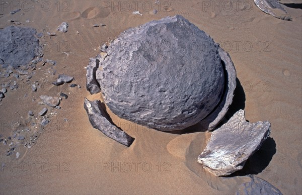 Silicified marble sphere, Libyan Desert, Egypt, Africa