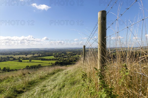 Low angle view fence posts Vale of Pewsey, Pewsey Vale, Martinsell Hill, Oare, Wiltshire, England, UK