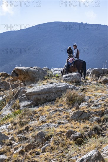 Traditional Kyrgyz eagle hunter in the mountains hunting on horseback, near Kysyl-Suu, Kyrgyzstan, Asia