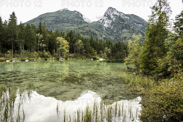 Hintersee, Ramsau, Watzmann, Berchtesgaden National Park, Berchtesgadener Land, Upper Bavaria, Bavaria, Germany, Europe