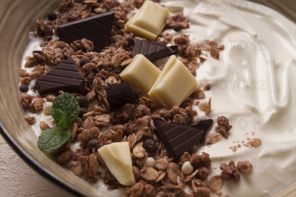 Yogurt with chocolate muesli, breakfast, close-up, fork on top, no people